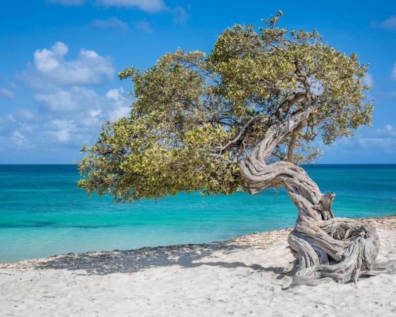 Curacao Villa Park Fontein المظهر الخارجي الصورة